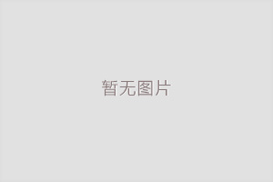 国务院关于进一步优化外商投资环境  加大吸引外商投资力度的意见