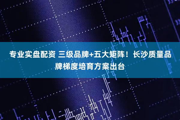 专业实盘配资 三级品牌+五大矩阵！长沙质量品牌梯度培育方案出台