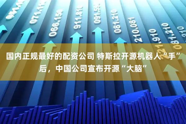 国内正规最好的配资公司 特斯拉开源机器人“手”后，中国公司宣布开源“大脑”
